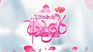 Ahankara Adare (95) - 28-08-2026