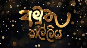 Amuthu Kalliya (54) - 31-08-2026