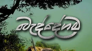 Baddegama (61) - 28-08-2026