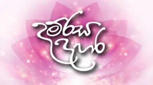 Damrasa Dahara - 01-09-2026