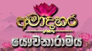 Ama Dahara Yauwanaramaya - 27-08-2026