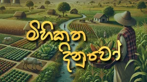 Mihikatha Dinuwo - 28-08-2026