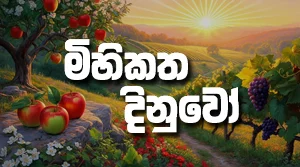 Mihikatha Dinuwo - 28-08-2026
